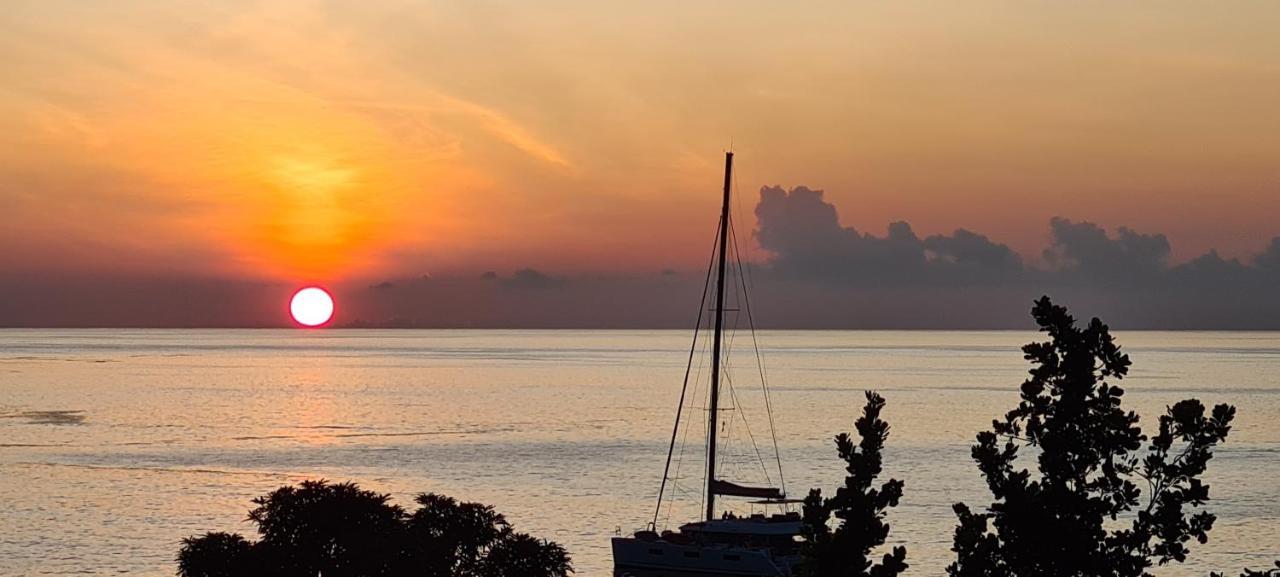 Harmony Self-Catering Apartments Beau Vallon  Eksteriør billede